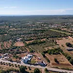 Viks Villa